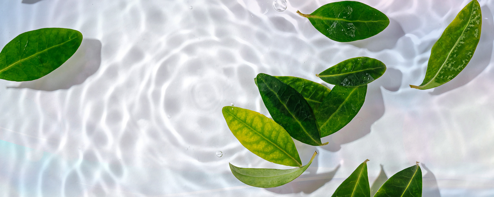 株式会社ミュー